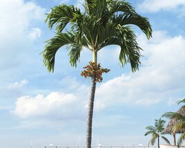 Tropical Palm Tree 13 3D-Modell