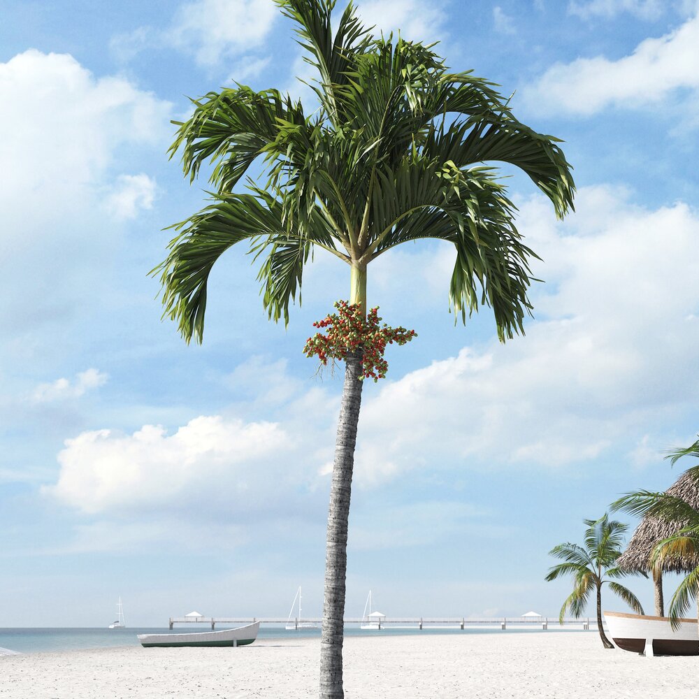 Tropical Palm Tree 13 3D модель