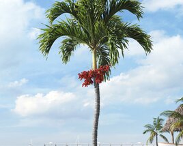 Tropical Palm Tree 23 3D модель