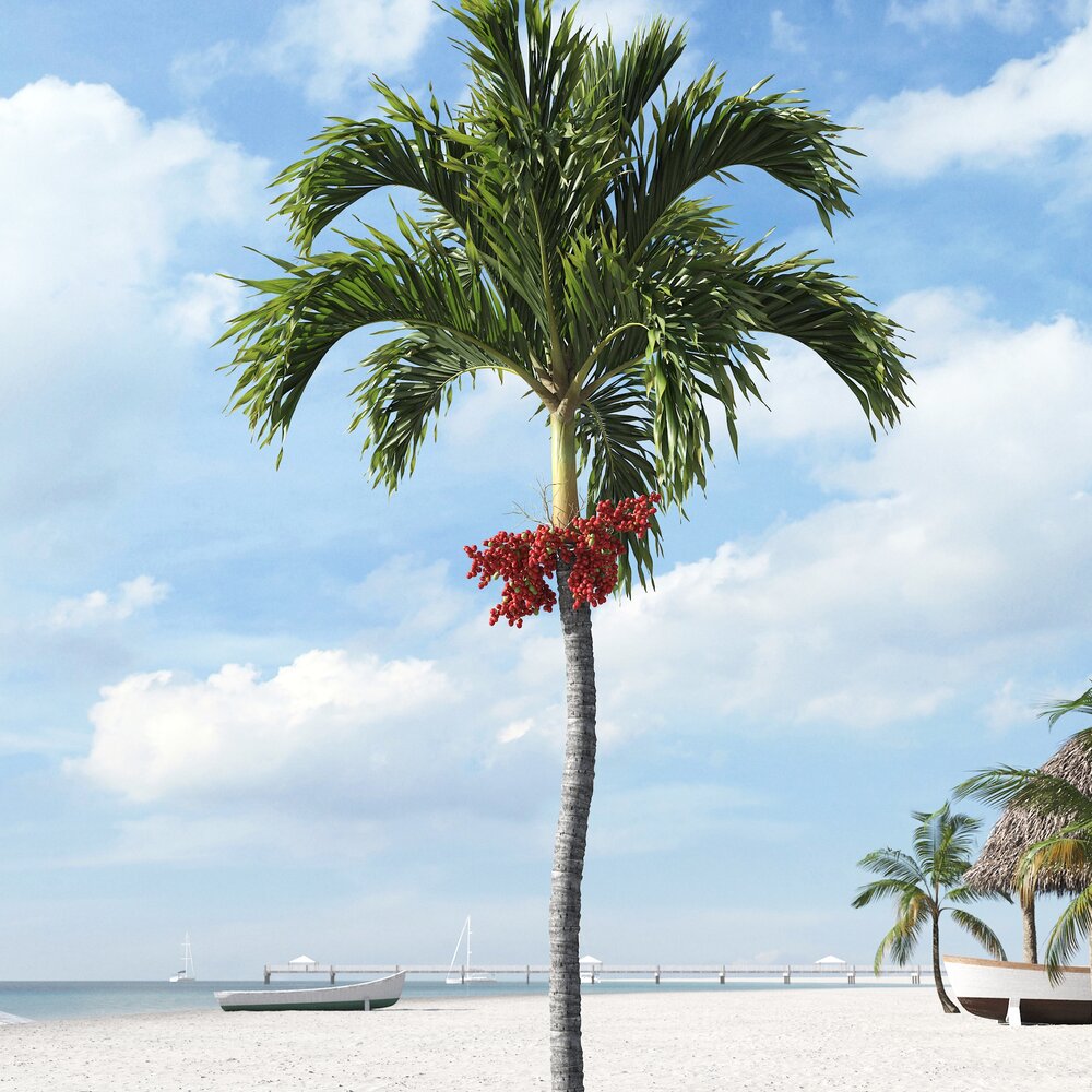 Tropical Palm Tree 23 Modello 3D