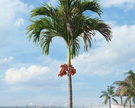 Tropical Palm Tree 22 3D-Modell