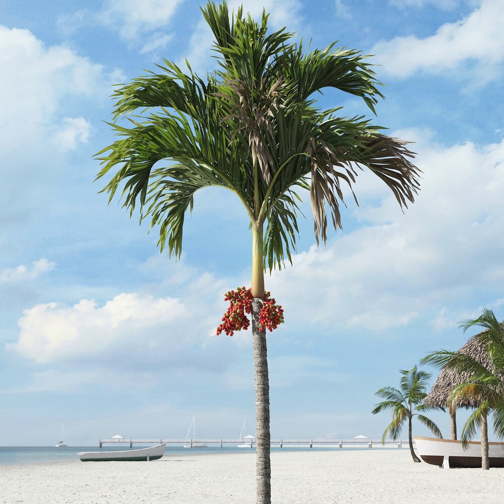 Tropical Palm Tree 22 3D-Modell