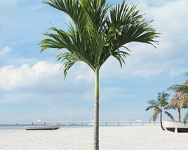 Tropical Palm Tree 21 3D model