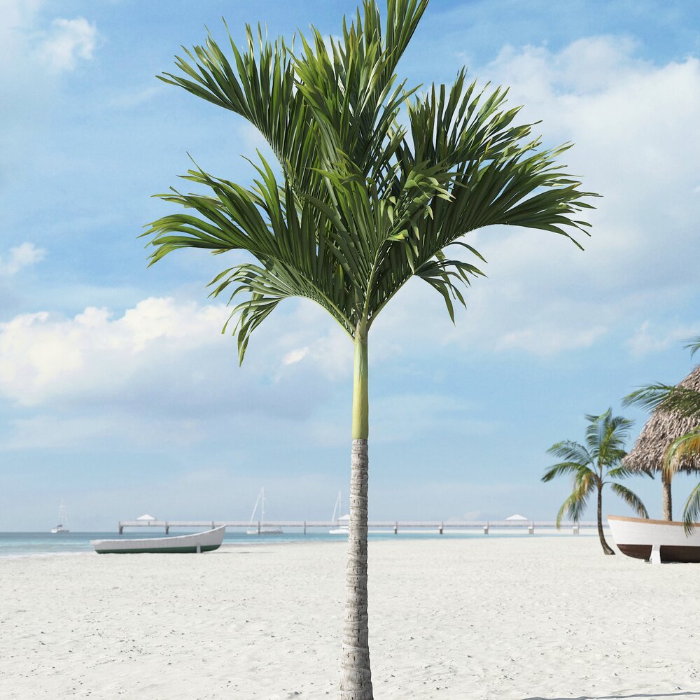 Tropical Palm Tree 21 3D model