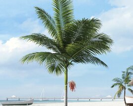 Tropical Palm Tree 20 3D-Modell