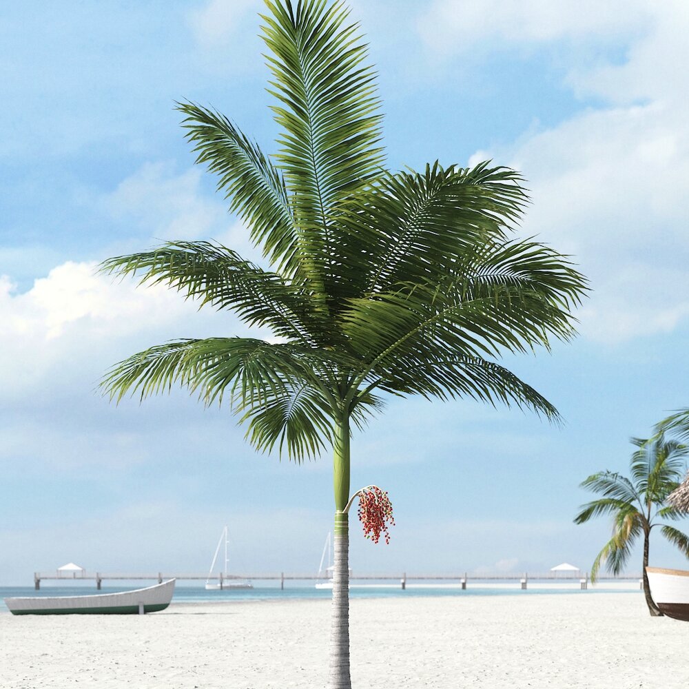 Tropical Palm Tree 20 3D-Modell