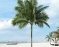 Tropical Palm Tree 19 3d model