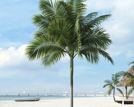 Tropical Palm Tree 19 3D 모델 