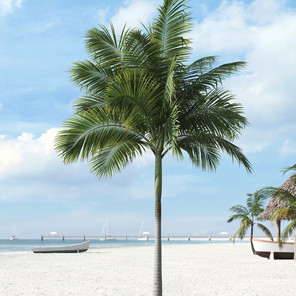 Tropical Palm Tree 19 3D-Modell