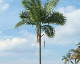 Tropical Palm Tree 18 3D model