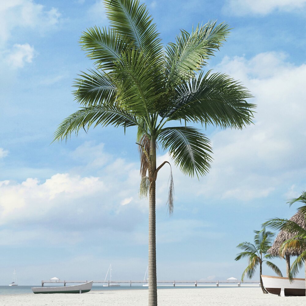 Tropical Palm Tree 18 3D 모델 