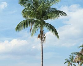 Tropical Palm Tree 26 3D-Modell