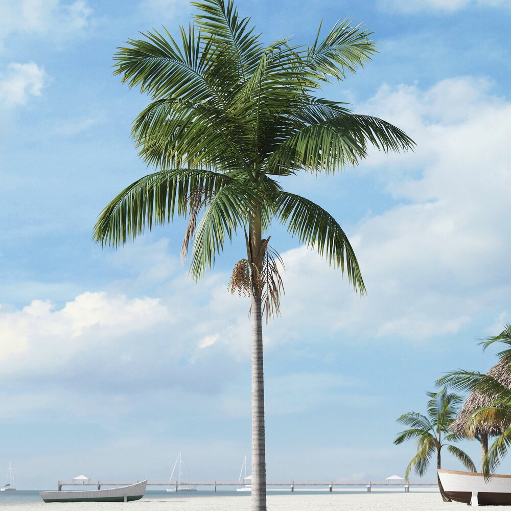 Tropical Palm Tree 26 3D-Modell