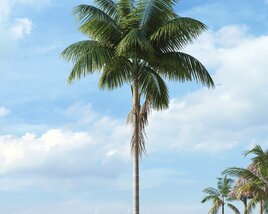 Tropical Palm Tree 25 3D model
