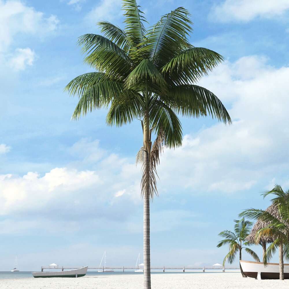 Tropical Palm Tree 25 Modèle 3D