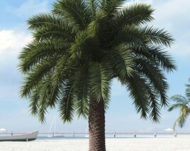Tropical Palm Tree 24 3D model