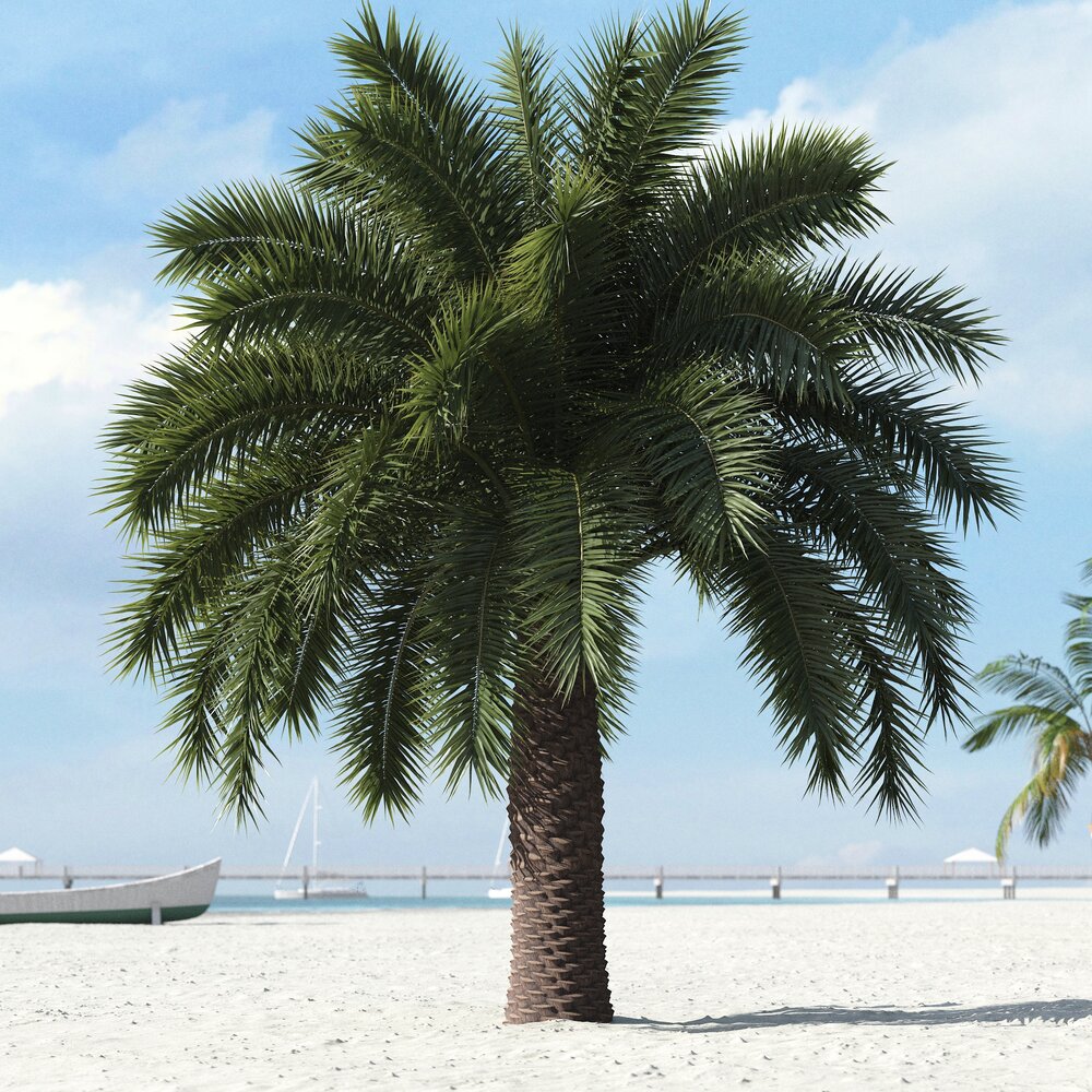 Tropical Palm Tree 24 Modèle 3d