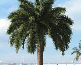Tropical Palm 3D 모델 