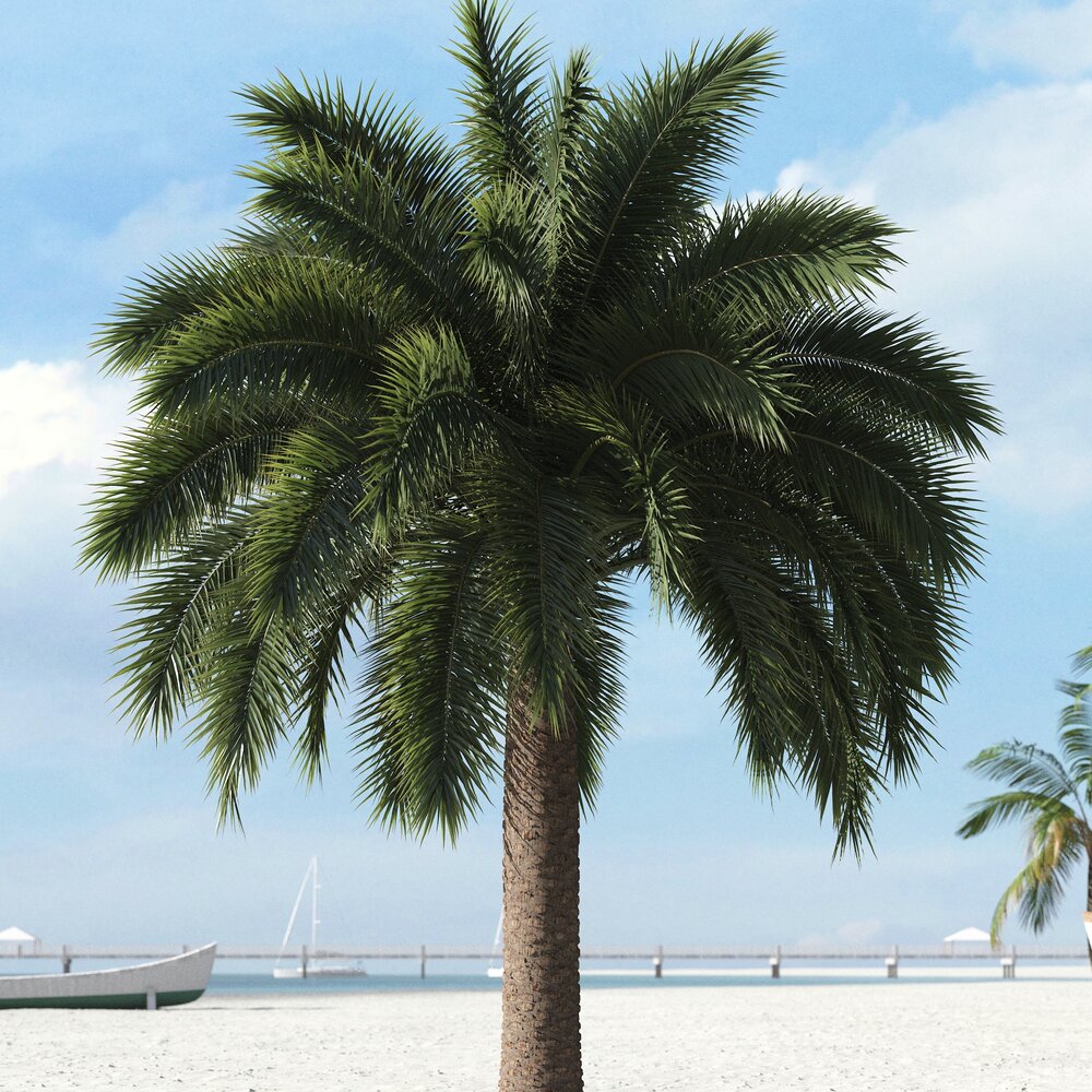 Tropical Palm Modelo 3D