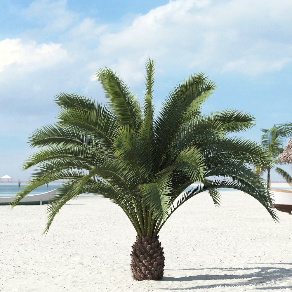 Tropical Palm Tree 05 Modèle 3D