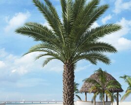 Tropical Palm 02 3D-Modell