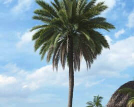 Tropical Palm Tree 12 3D-Modell
