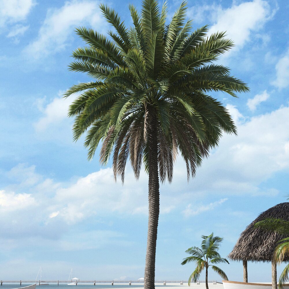 Tropical Palm Tree 12 3D model