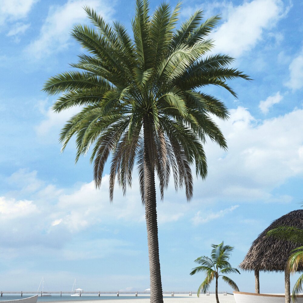 Tropical Palm Tree 11 3D model