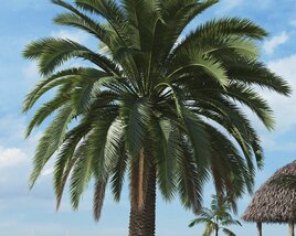 Tropical Palm Tree 10 3D model