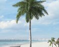 Tropical Palm Tree 15 3d model