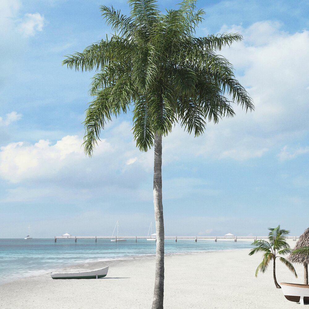 Tropical Palm Tree 15 3D-Modell