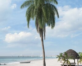 Tropical Beach Palm Modelo 3D