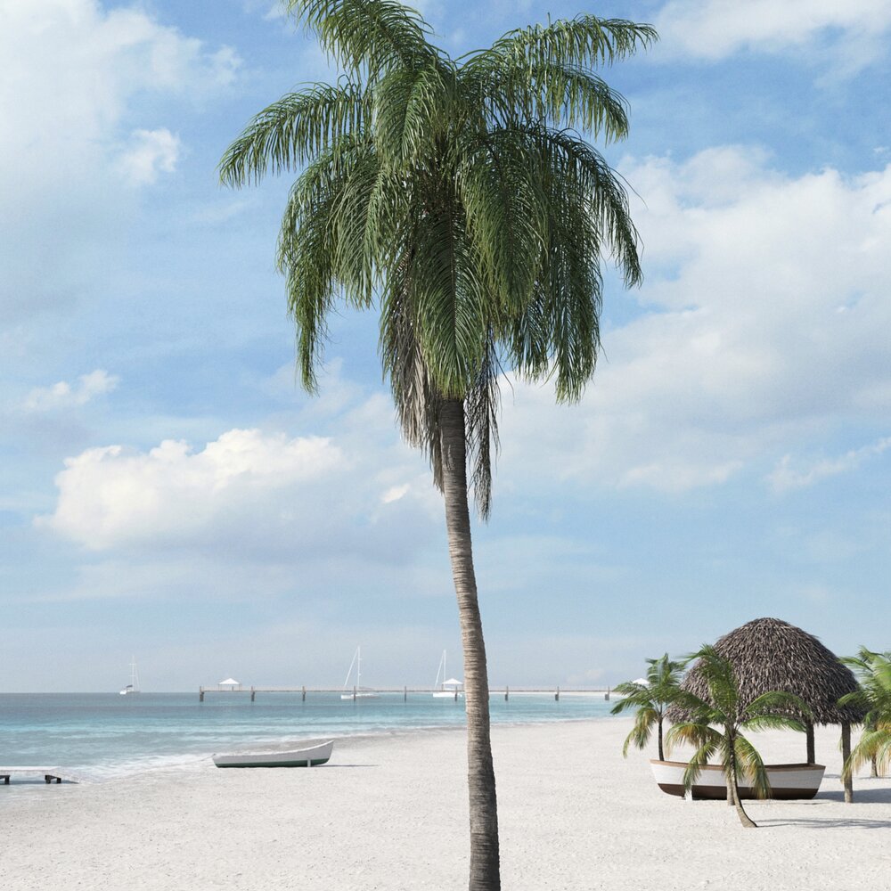 Tropical Beach Palm Modelo 3d