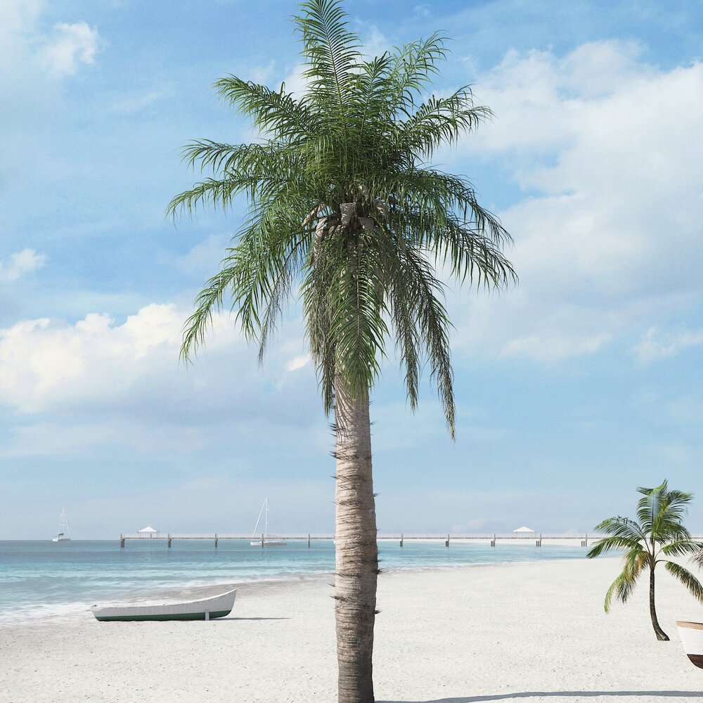 Tropical Palm for Beach 3D 모델 