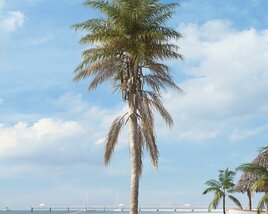 Tropical Palm Tree 02 3D model