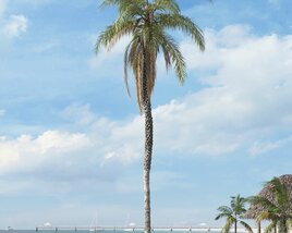 Tropical Palm Tree Modèle 3D