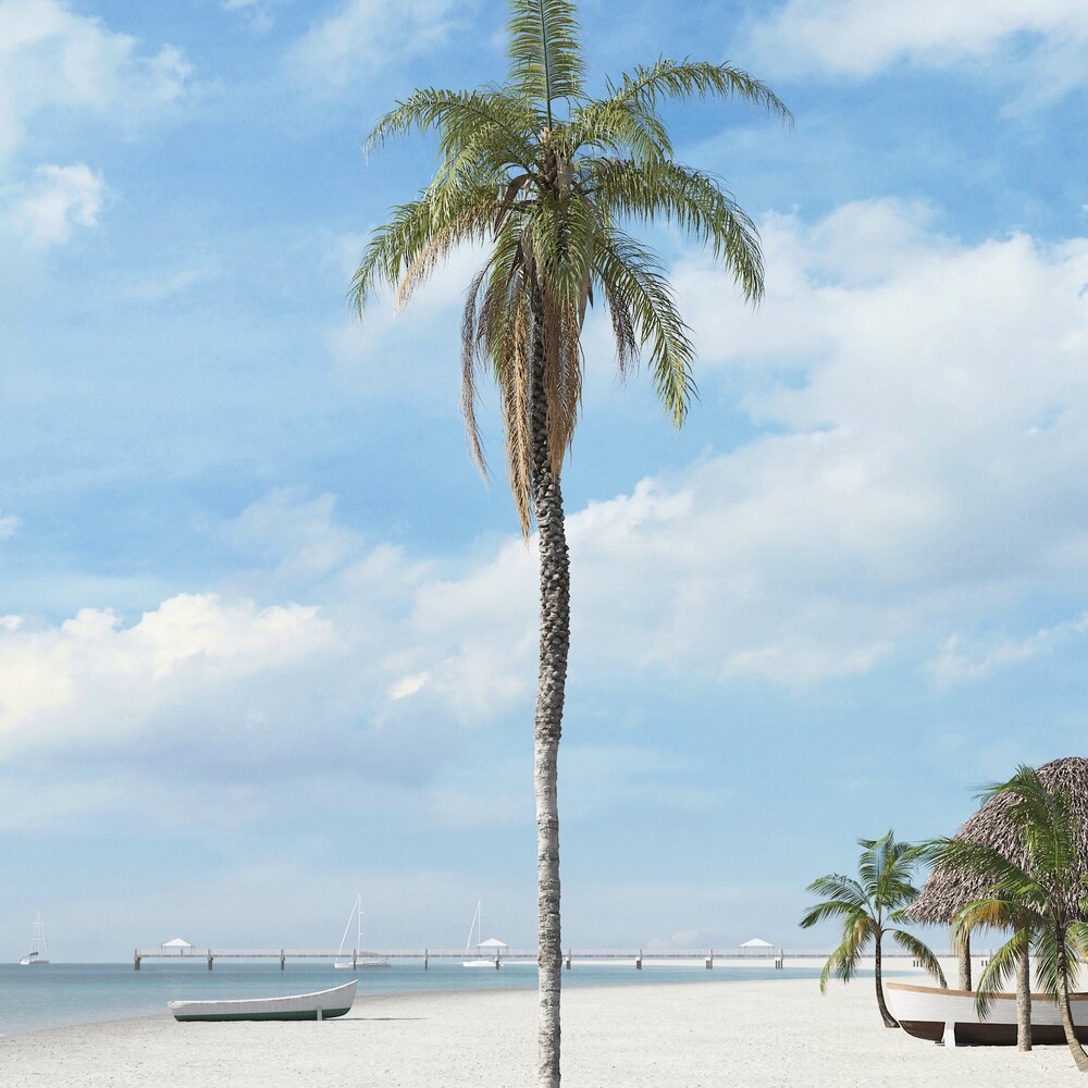 Tropical Palm Tree Modello 3D