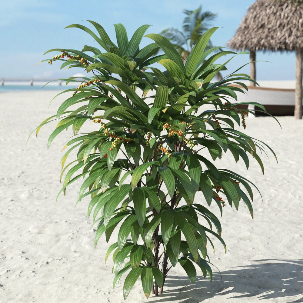 Beachside Palm Plant 3Dモデル