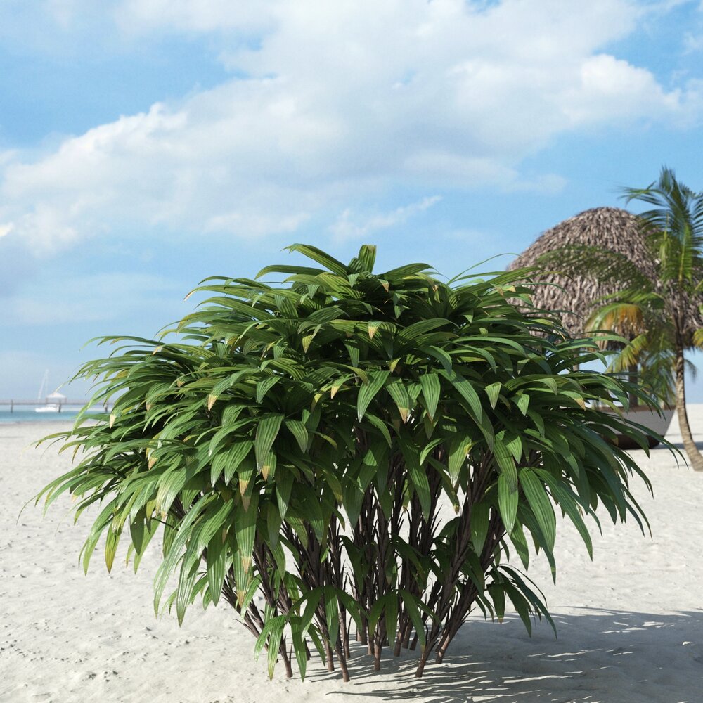 Tropical Beach Plant 3D 모델 