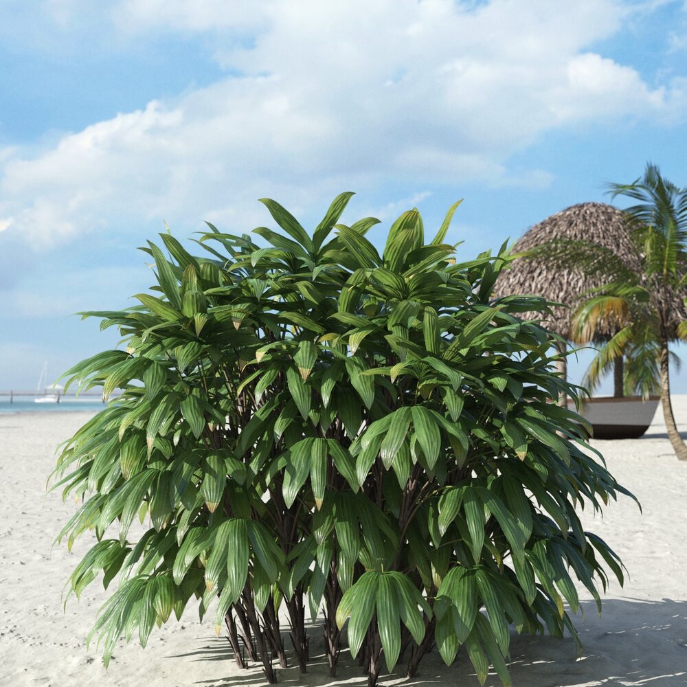 Tropical Beachside Plant 02 3D 모델 