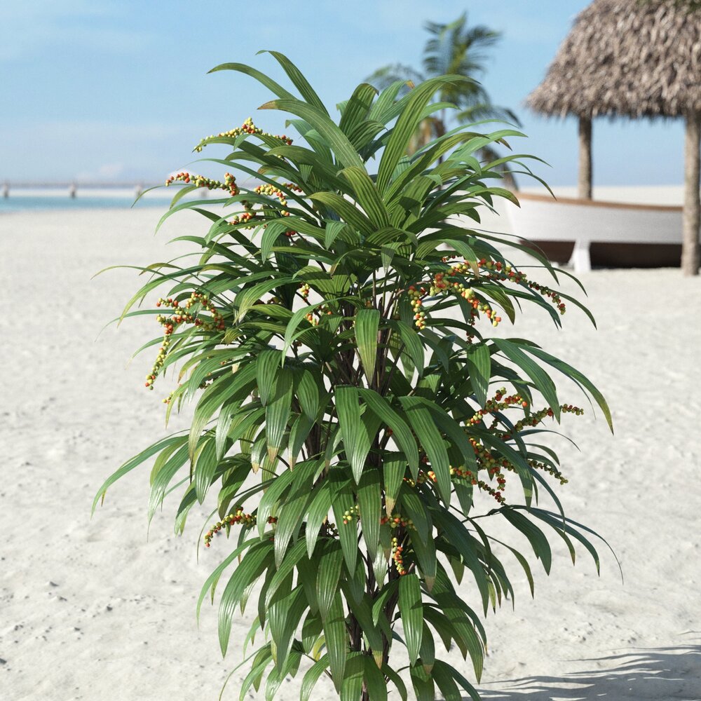 Tropical Beachside Plant Modello 3D