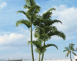 Tropical Palm Trees 02 3D model