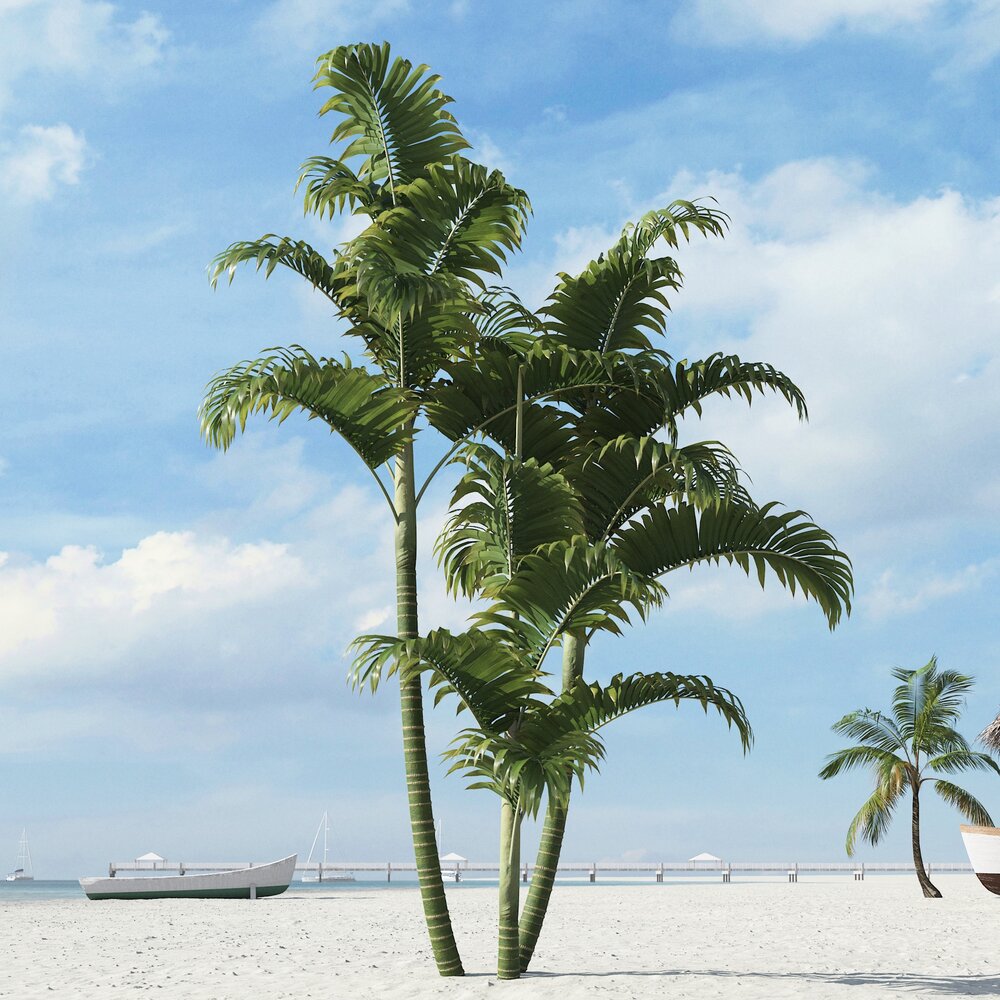 Tropical Palm Trees 02 Modèle 3D
