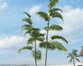 Tropical Palms 3d model