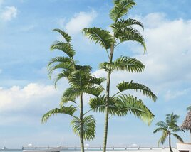 Tropical Palms 3Dモデル