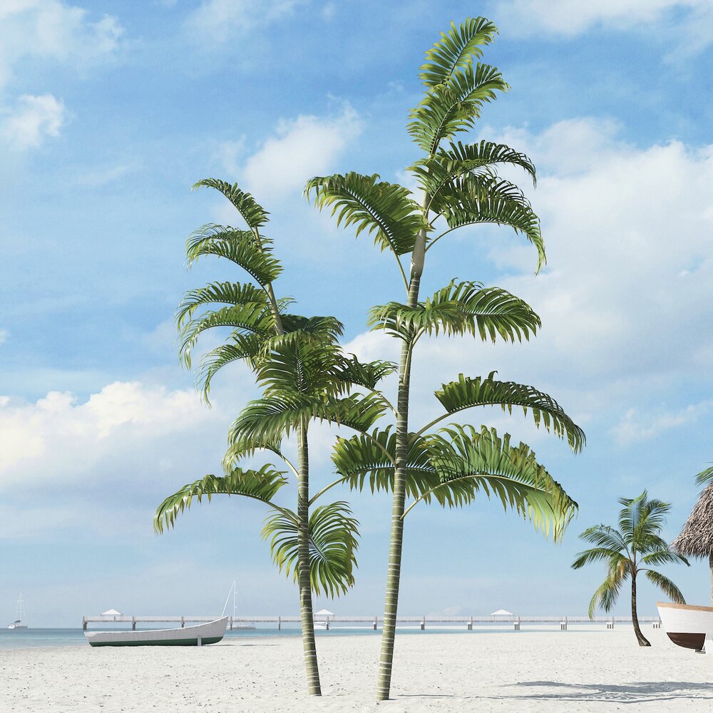 Tropical Palms 3D model