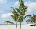 Tropical Beach Palms 3D模型