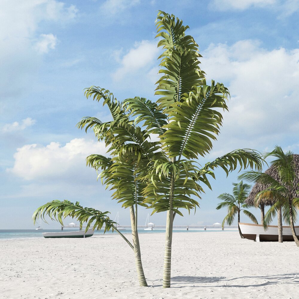 Tropical Beach Palms Modèle 3d
