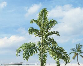 Tropical Palm Tree 04 3D model