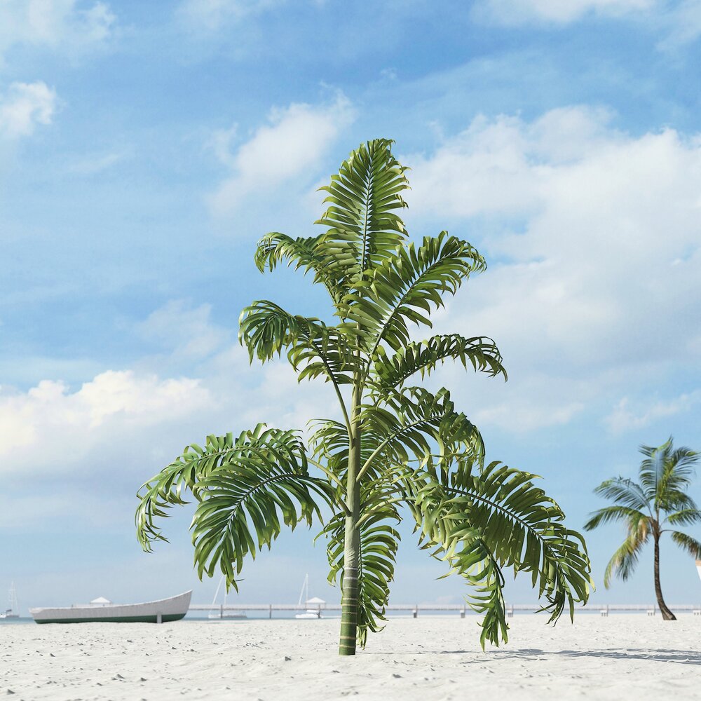 Tropical Palm Tree 04 3D model